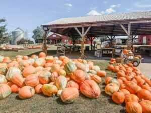 Tate Farms