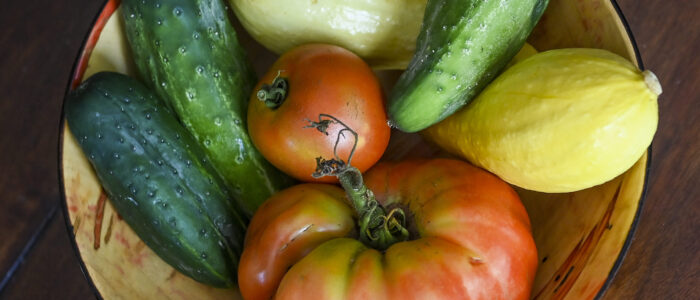 David Perdew’s garden yields tomatoes, cucumbers, beans, squash, peas, onions and other vegetables,